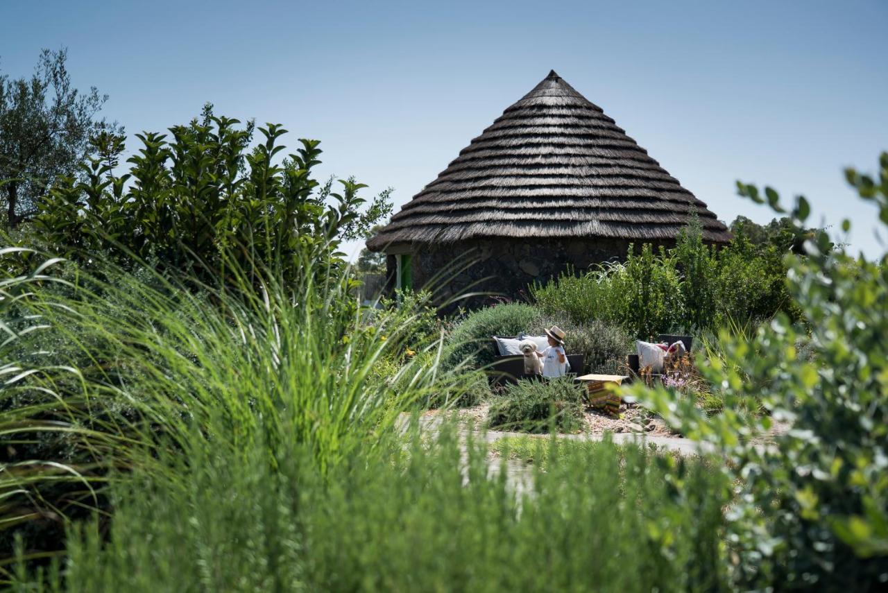 Is Cheas Wine Farm Boutique Hotel San Vero Milis Luaran gambar