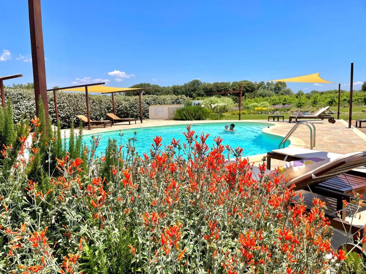 Is Cheas Wine Farm Boutique Hotel San Vero Milis Luaran gambar