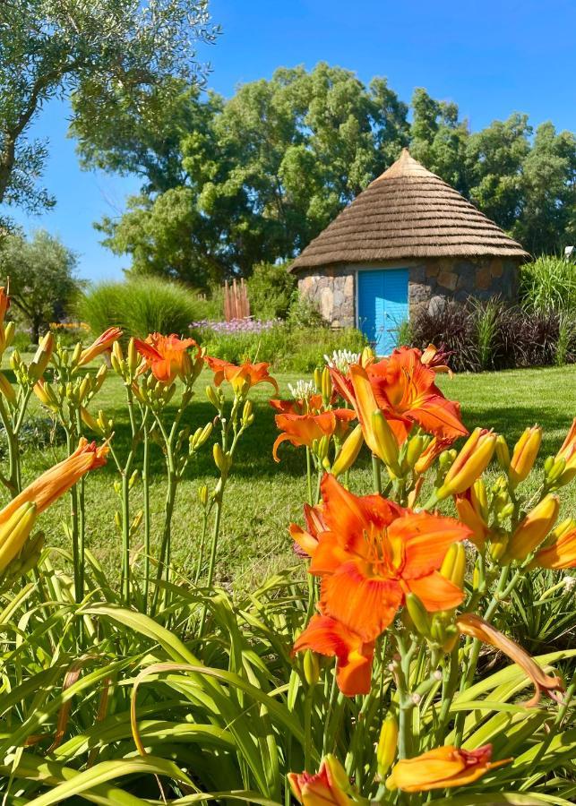 Is Cheas Wine Farm Boutique Hotel San Vero Milis Luaran gambar