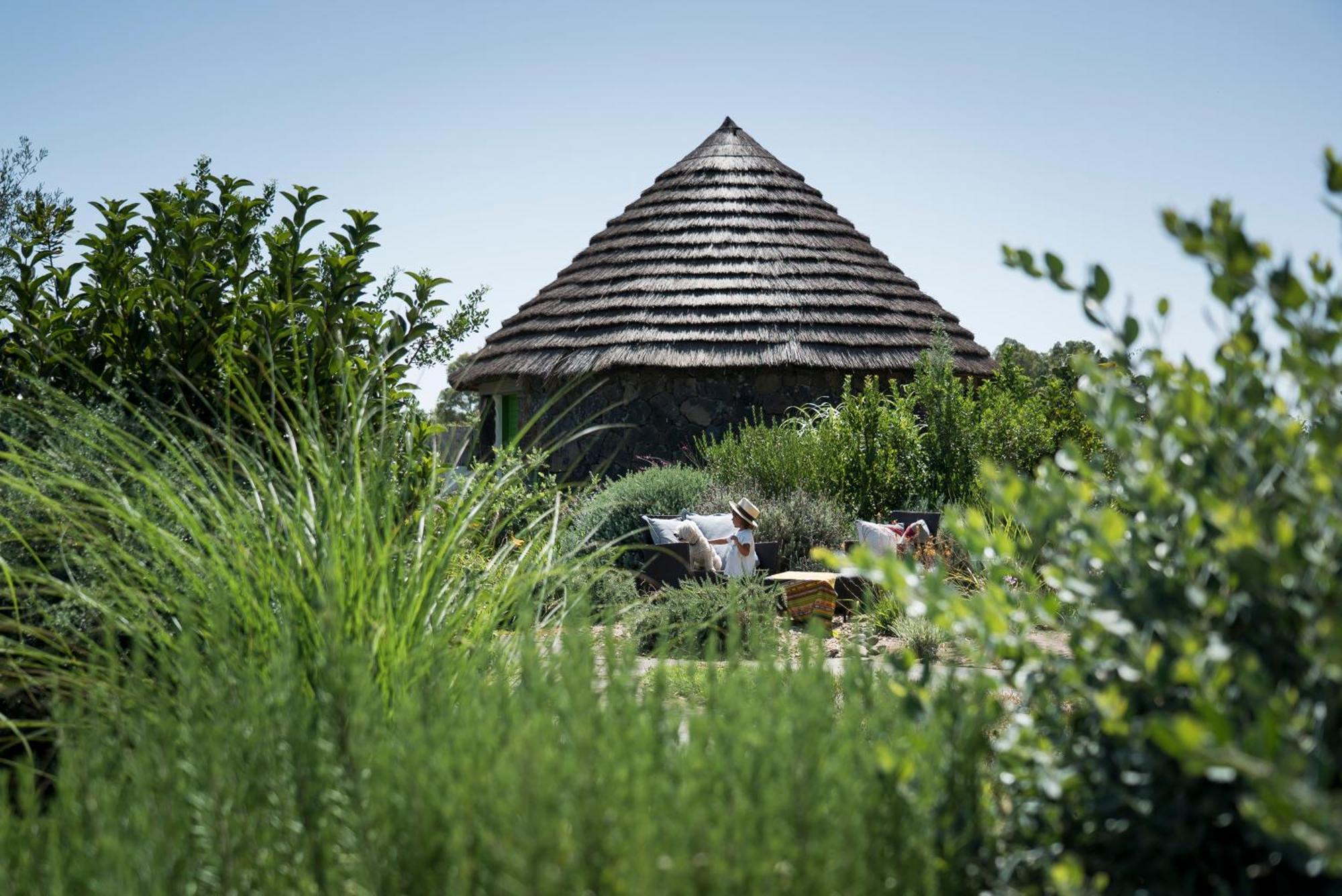 Is Cheas Wine Farm Boutique Hotel San Vero Milis Luaran gambar
