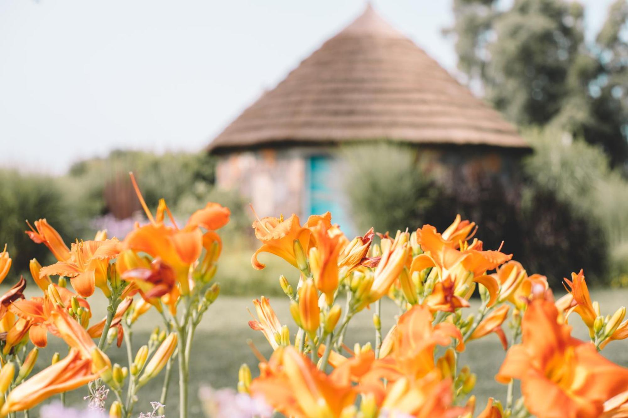 Is Cheas Wine Farm Boutique Hotel San Vero Milis Bilik gambar