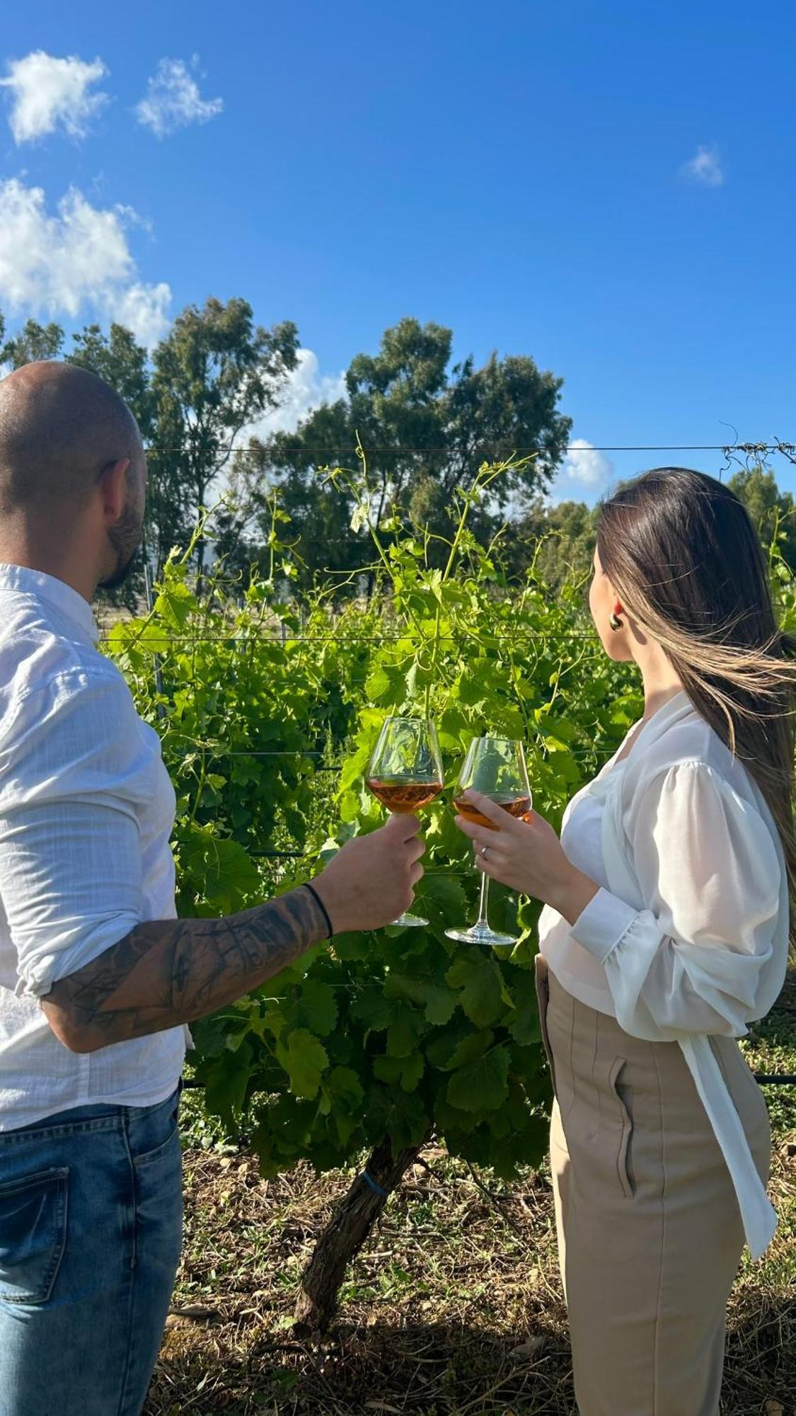 Is Cheas Wine Farm Boutique Hotel San Vero Milis Luaran gambar