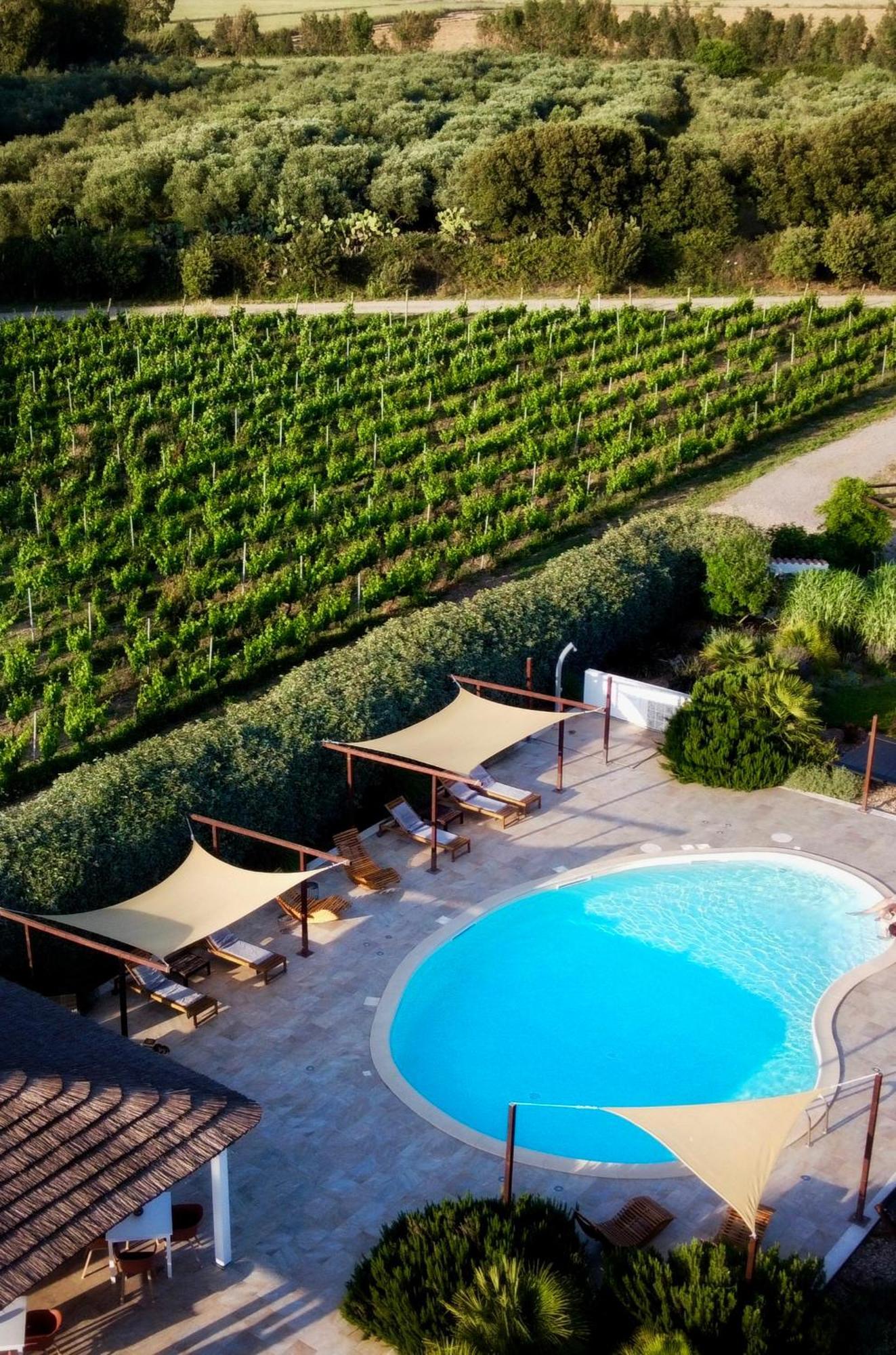 Is Cheas Wine Farm Boutique Hotel San Vero Milis Luaran gambar