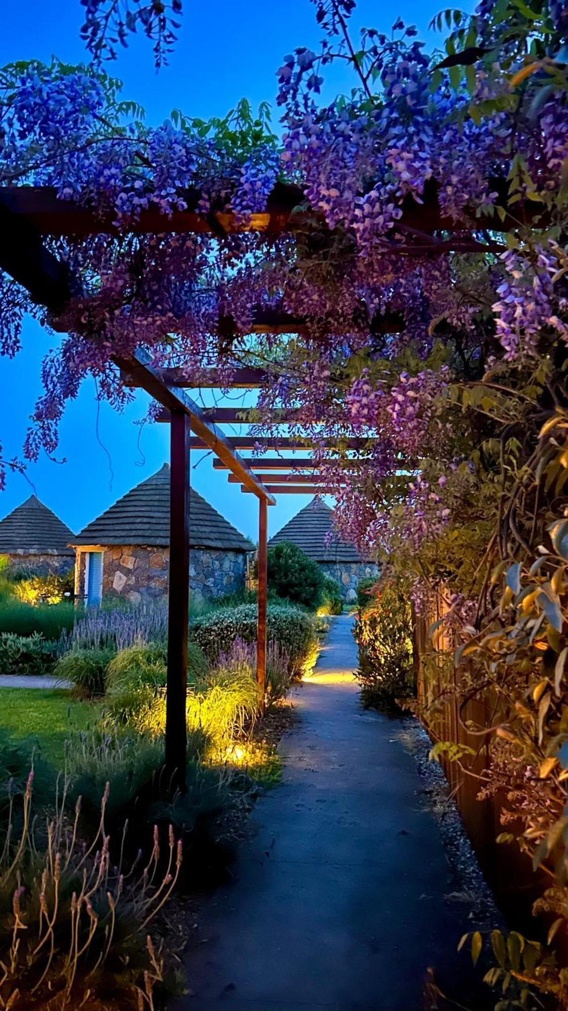 Is Cheas Wine Farm Boutique Hotel San Vero Milis Luaran gambar