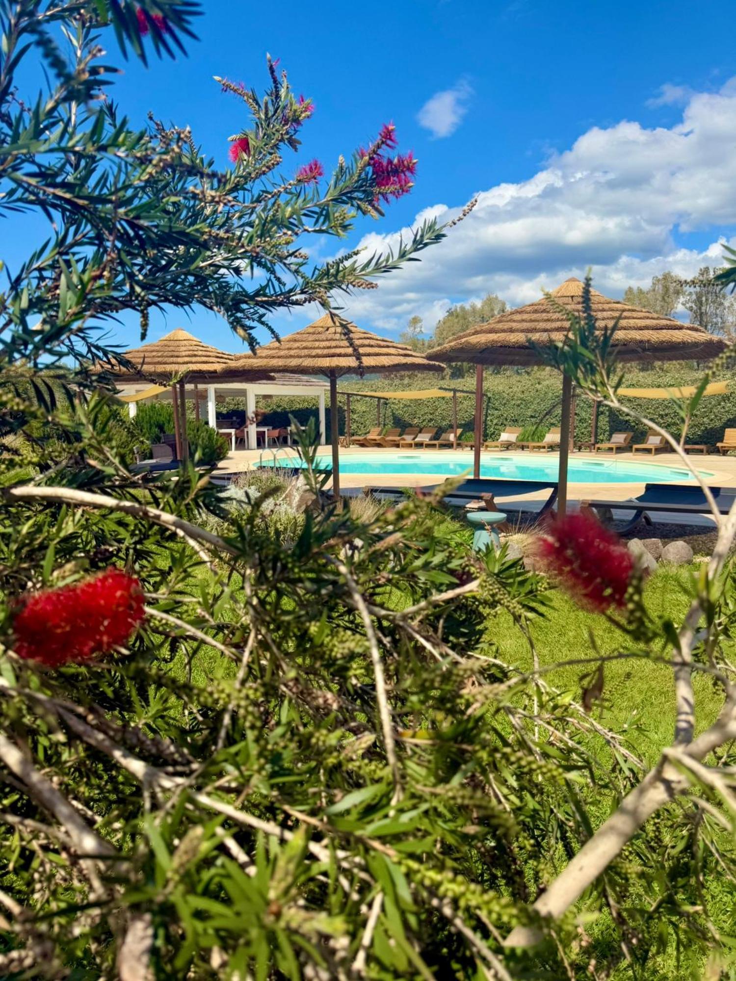 Is Cheas Wine Farm Boutique Hotel San Vero Milis Luaran gambar