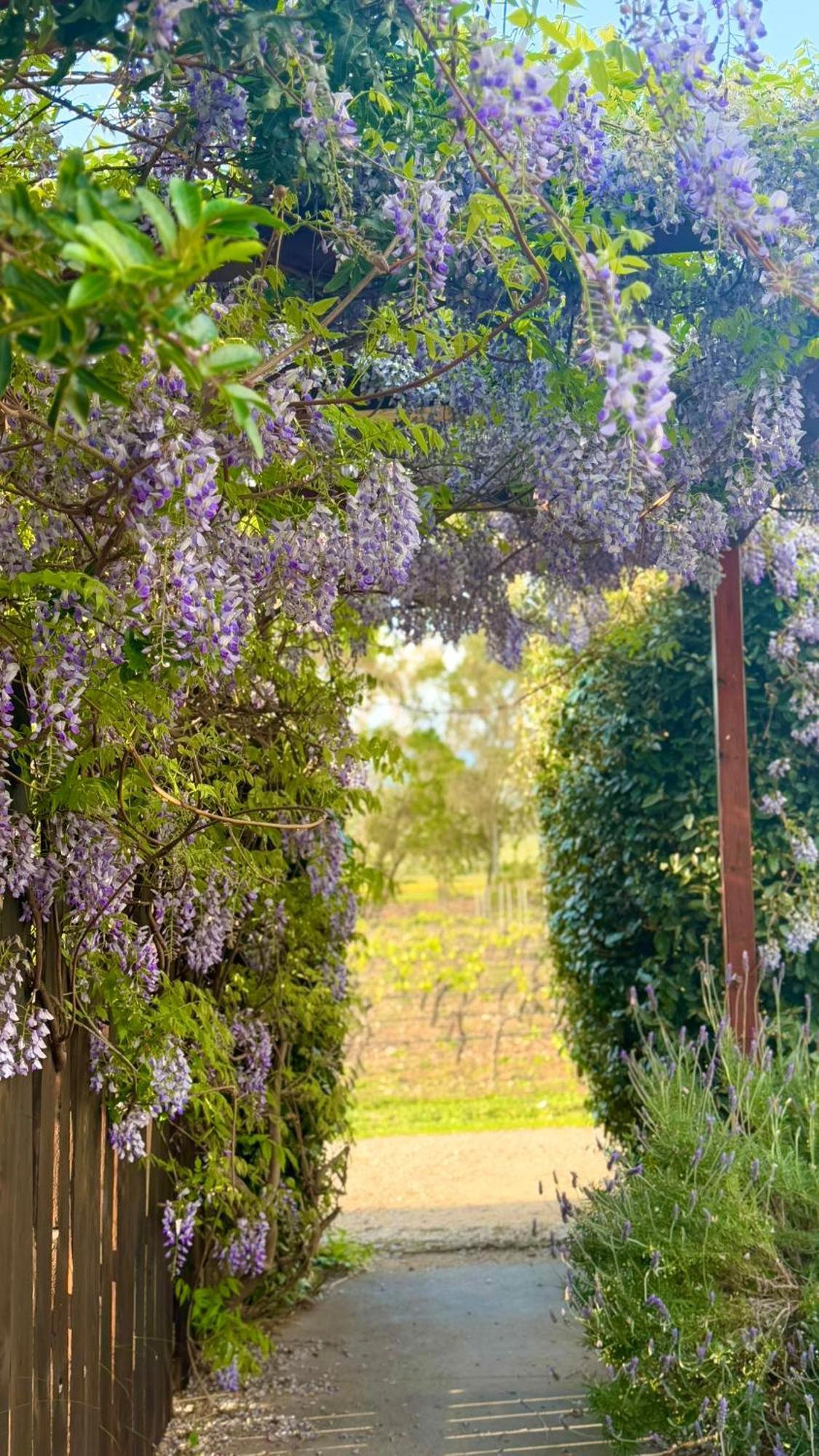 Is Cheas Wine Farm Boutique Hotel San Vero Milis Luaran gambar