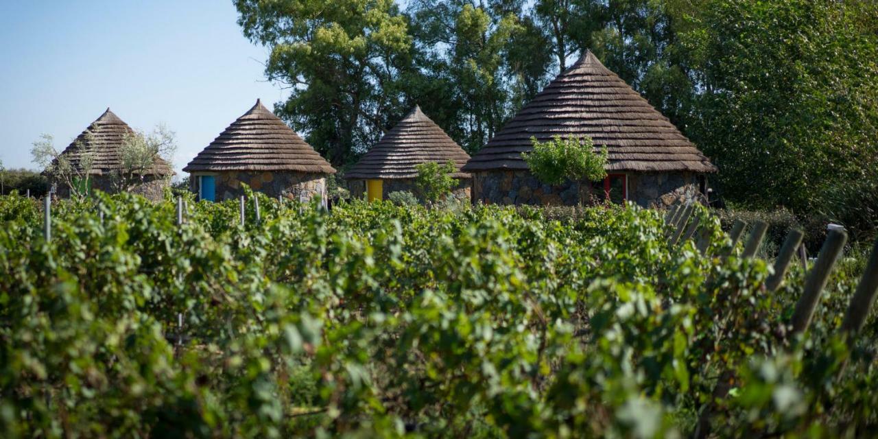 Is Cheas Wine Farm Boutique Hotel San Vero Milis Luaran gambar